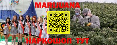 гидропоника Гагарин