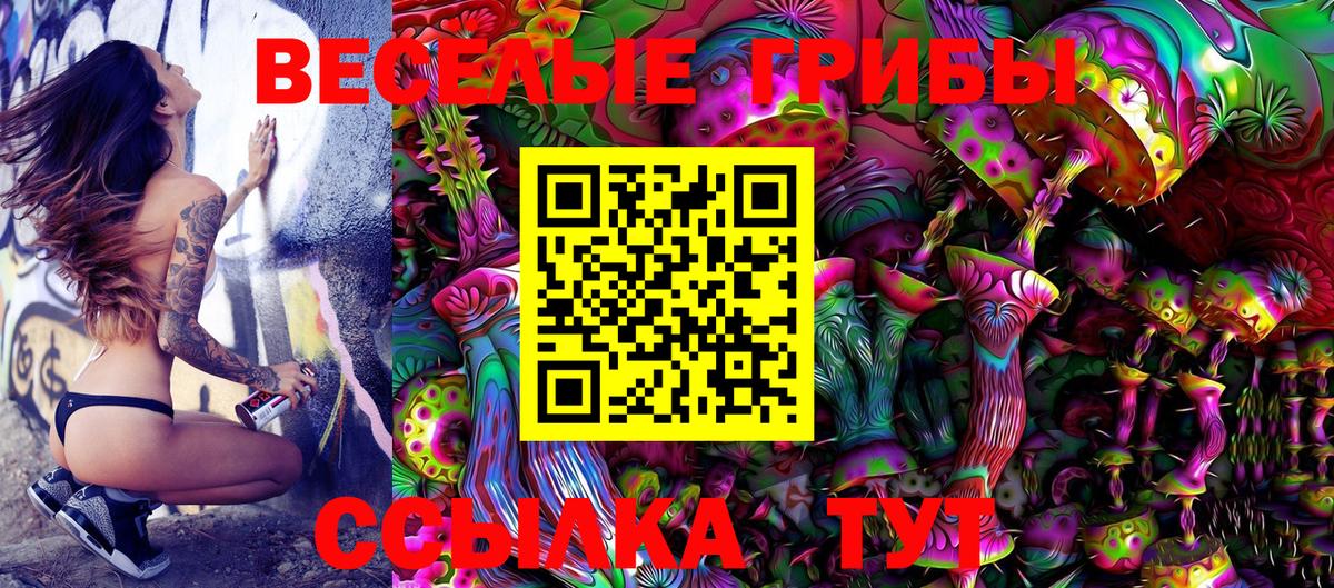 Галлюциногенные грибы MAGIC MUSHROOMS  Вход с VPN  Мытищи  Галлюциногенные грибы GOLDEN TEACHER 